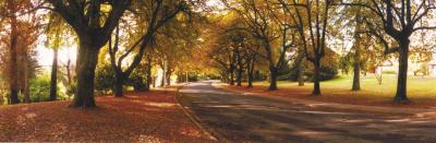 La Trobe At Beechworth - Accommodation Resorts 0