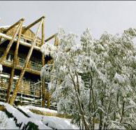 Silverski - Accommodation Resorts