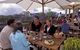 Grand Mercure Chalet Mt Buller - thumb 1