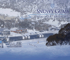 Snowy Gums Chalet - Accommodation Resorts 0