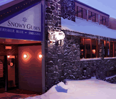 Snowy Gums Chalet - Accommodation Resorts 2