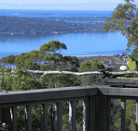 Bed in the Treetops - Accommodation Resorts