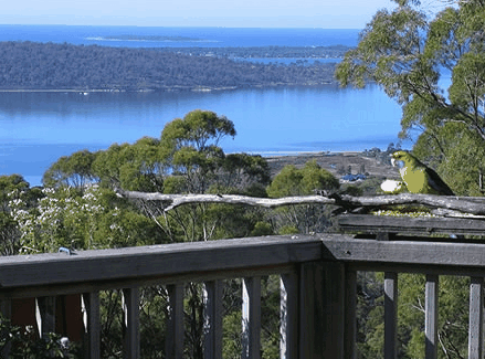 Bed In The Treetops - Accommodation Resorts 0