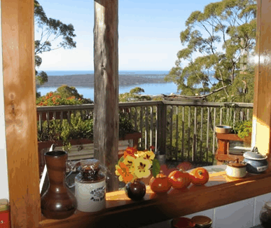 Bed In The Treetops - Accommodation Resorts 1