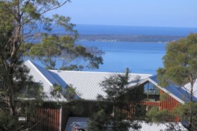 Bed In The Treetops - Accommodation Resorts 4