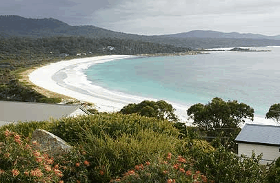Bay Of Fires Character Cottage - Accommodation Resorts 3