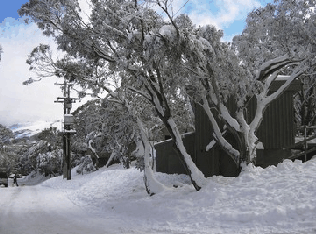 Mulligatawny Ski Club - thumb 1