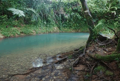 Heritage Lodge And Spa - Accommodation Resorts 0