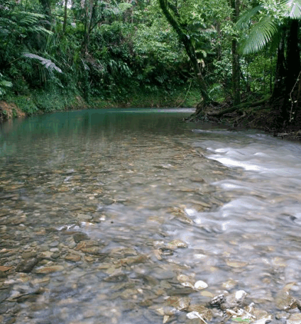 Heritage Lodge And Spa - Accommodation Resorts 1