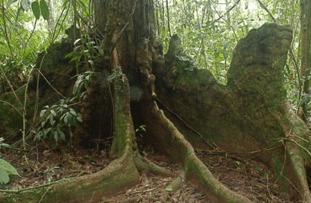 Heritage Lodge And Spa - Accommodation Resorts 4