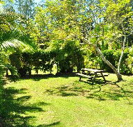 Wooli Caravan Park - Accommodation Resorts