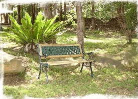 Lorikeet Cottage - Accommodation Resorts 3