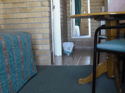 Dragon & Phoenix Motel - Accommodation Resorts 0