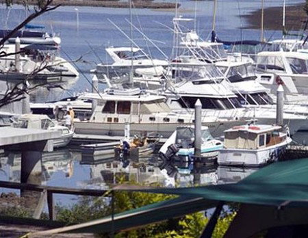 Soldiers Point Holiday Park - Accommodation Resorts 3