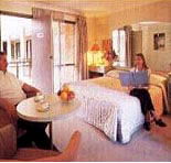 Sydney Palm Court Motor Inn - Accommodation Resorts