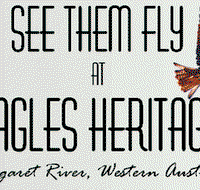 Eagles Heritage Raptor Wildlife Centre - Accommodation Resorts