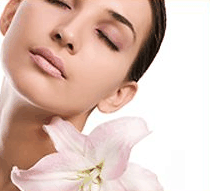 Stephanies Spa Retreat - Accommodation Resorts