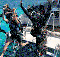 Snorkel Safari Brisbane - Accommodation Resorts