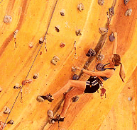 Rocksports Indoor Climbing - Accommodation Resorts