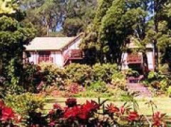  Accommodation Resorts