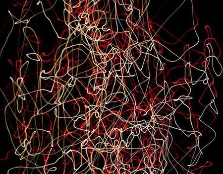 Eleven40 Gallery - Accommodation Resorts 1