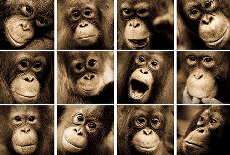 Eleven40 Gallery - Accommodation Resorts 3