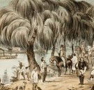 Joshua McClelland Print Room - Accommodation Resorts