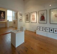 Bird's Gallery - Accommodation Resorts