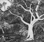 Tacit Contemporary Art - Accommodation Resorts