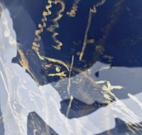 Warburton Lane Exhibits - Accommodation Resorts