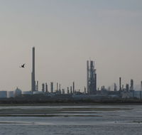 Techno Park Studios - Accommodation Resorts