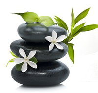 Tea House Spa Sauna - Accommodation Resorts