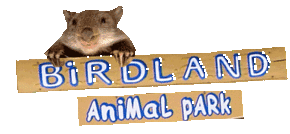 Birdland Animal Park - Accommodation Resorts