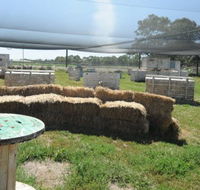 We Are Paintball - Accommodation Resorts