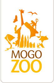 Mogo Zoo - thumb 0