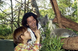 Taronga Zoo - Accommodation Resorts 2