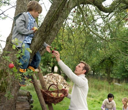 Eastland Shopping Centre - Accommodation Resorts 3