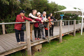 Phillip Island Penguin Parade - Accommodation Resorts 1