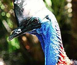 Dakabin QLD Accommodation Resorts