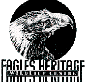 Eagles Heritage - Accommodation Resorts