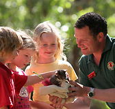 Cleland Wildlife Park - Accommodation Resorts