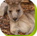 Calmsley Hill City Farm - Accommodation Resorts
