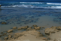 Canberra Contemporary Art Space - Accommodation Resorts 0