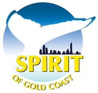 Spirit of Gold Coast Whale Watching - Accommodation Resorts