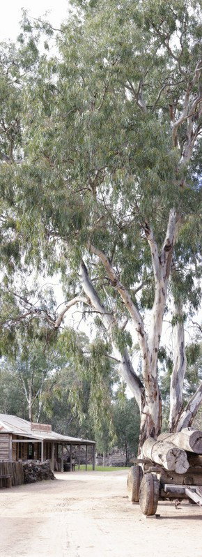 Pioneer Settlement - Accommodation Resorts 1