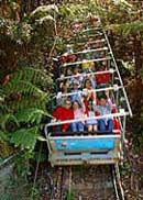 Scenic World Blue Mountains - Accommodation Resorts 2