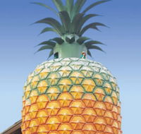 The Big Pineapple - Accommodation Resorts