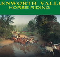 Glenworth Valley Horseriding - Accommodation Resorts