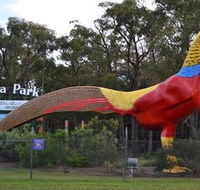 Gumbuya Park - Accommodation Resorts