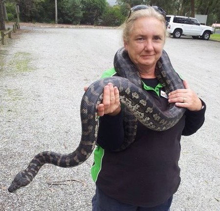 Gumbuya Park - Accommodation Resorts 2